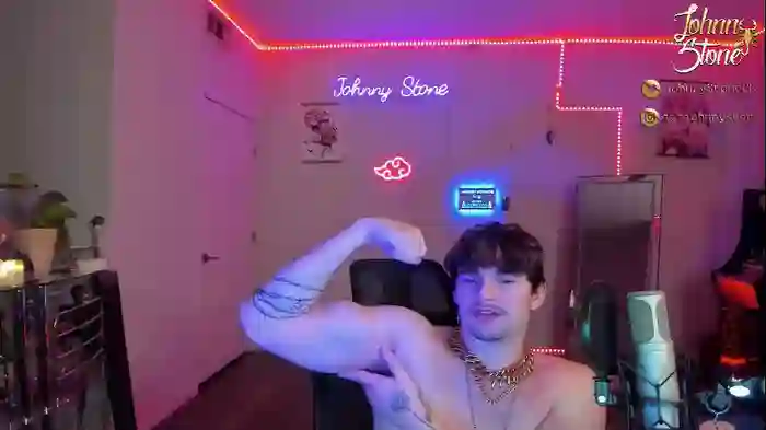 thejohnnystone