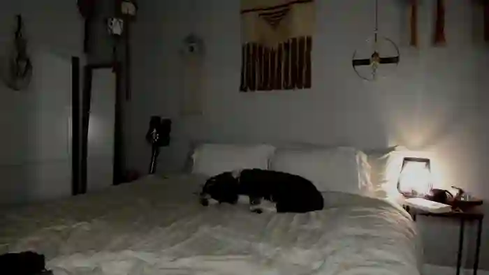 theselina_kyle
