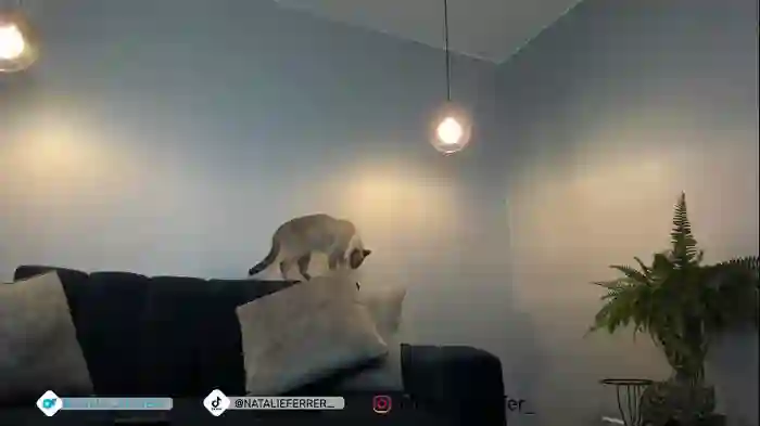 natalieferrer_