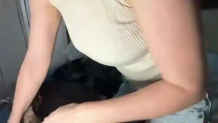 kaileeshy