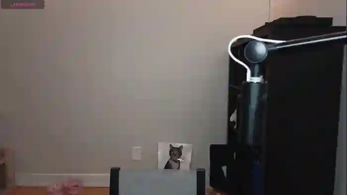 alexa_dream