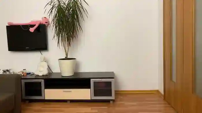 eitanhere