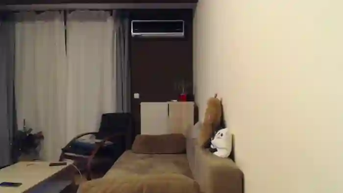 sam_winchest