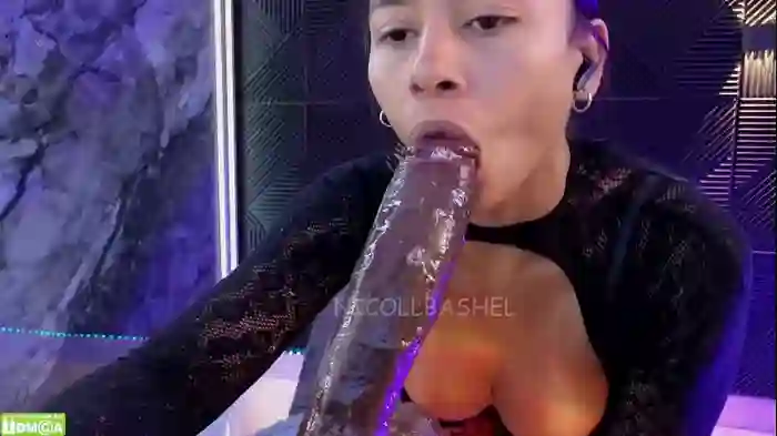 nicollbashel