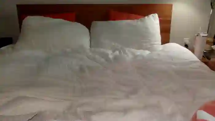 stassiebabyxo