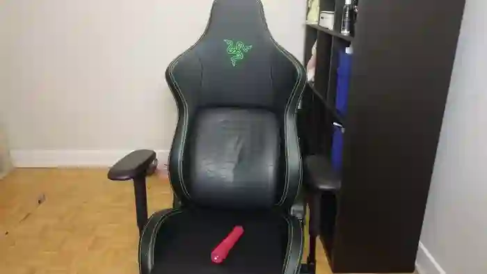 alexa_dream