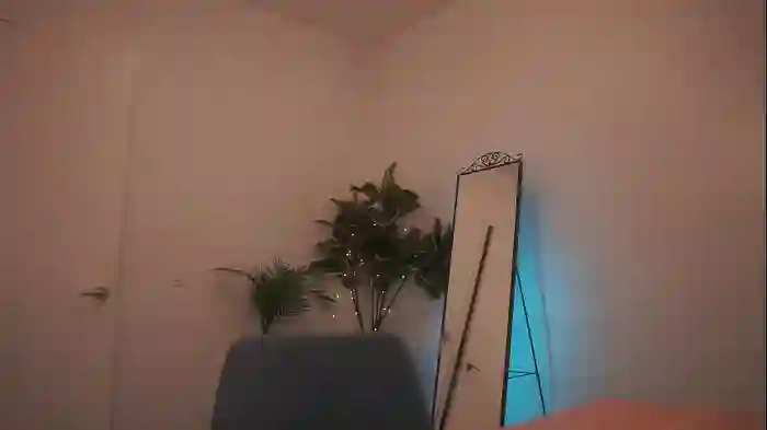 letiziafulkers1