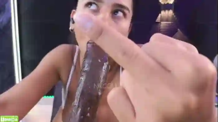 nicollbashel