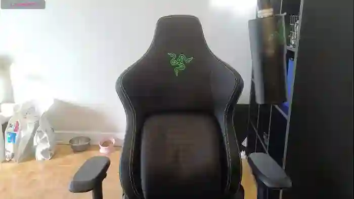 alexa_dream