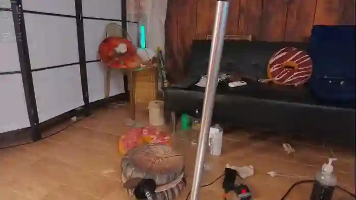 mollyflwers
