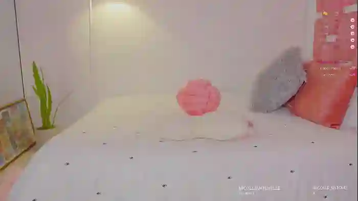 nicolle_mitchelle
