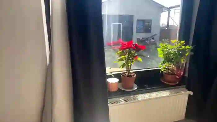 nyconik