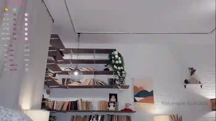 riskyproject