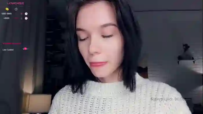 riskyproject