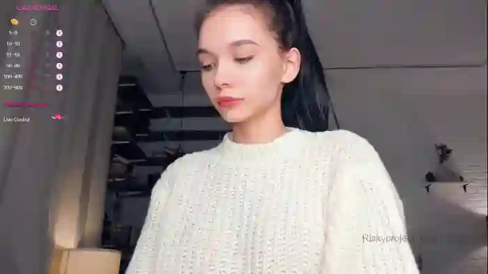 riskyproject