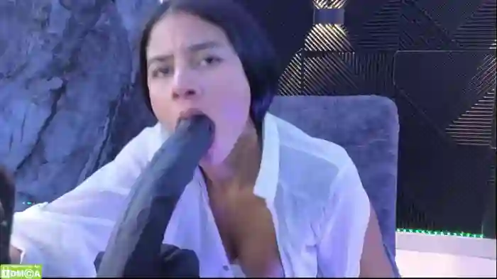 nicollbashel