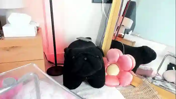 mazeekiin