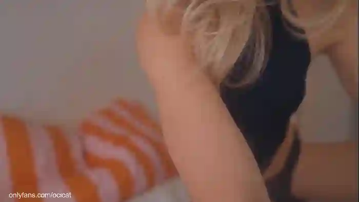 ocicat