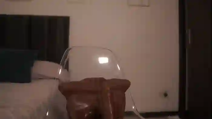 letiziafulkers1