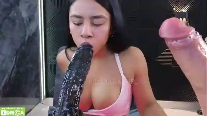 nicollbashel