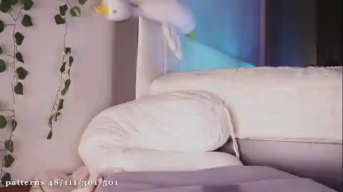 liass_molly