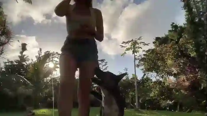 kaileeshy