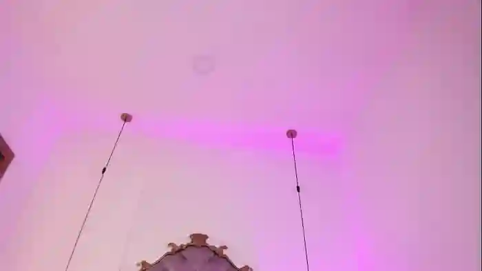megan_leal1