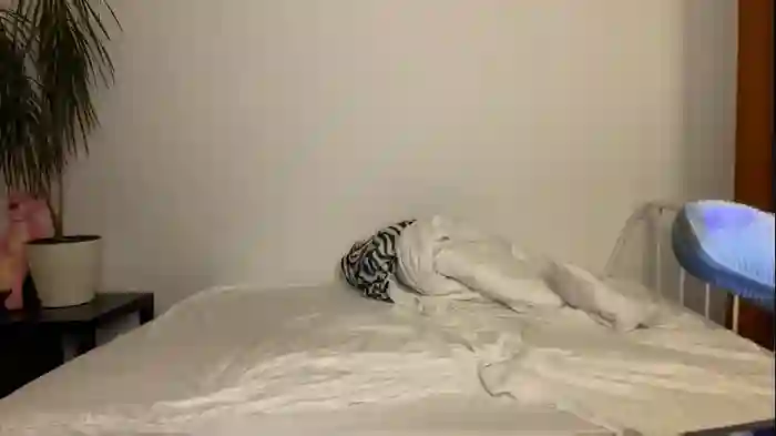eitanhere