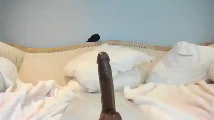 eatmygingersnapps