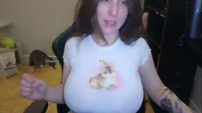 alexa_dream