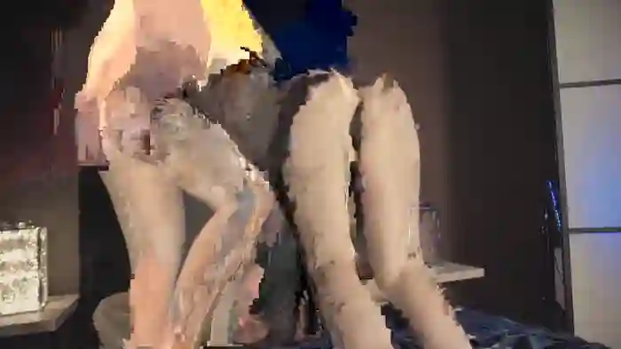 alita_angelo