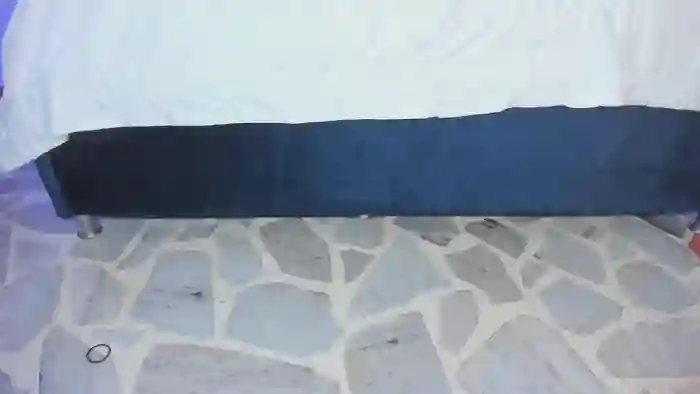 Ary1_