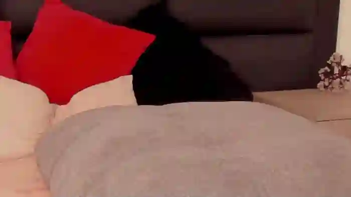 kitty-lowell