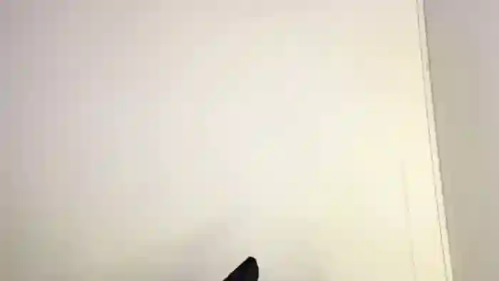 kylie-whitee