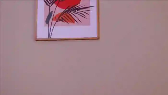 lucia-saanvi