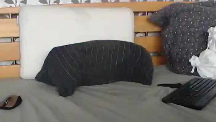 Kelywild