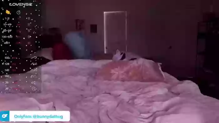 Bunnydathug