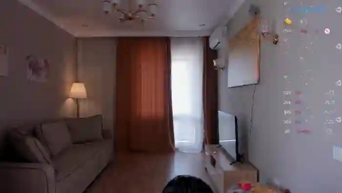 OnlyCats