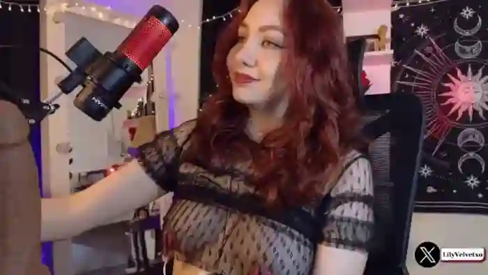 LilyVelvet