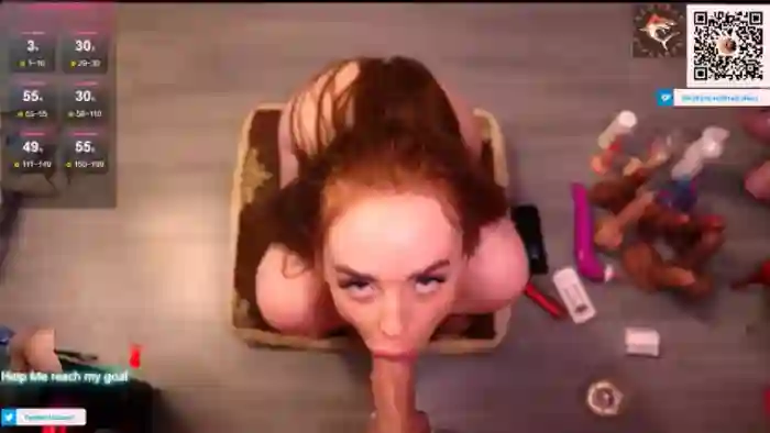 Redhead_Shark