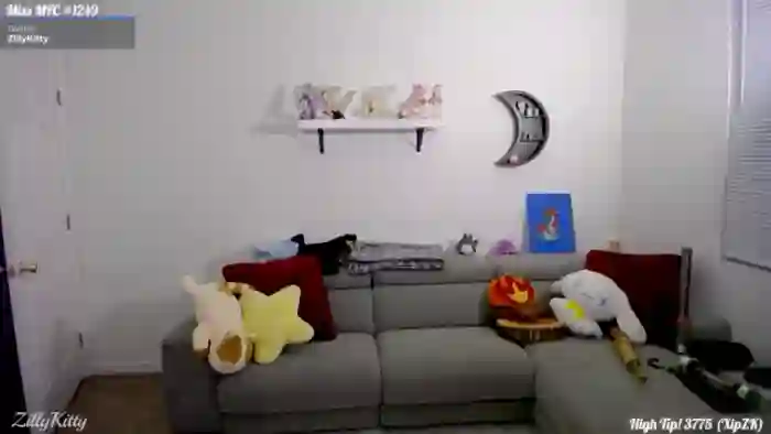 ZillyKitty