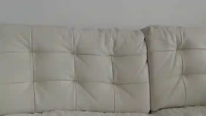 Kelywild
