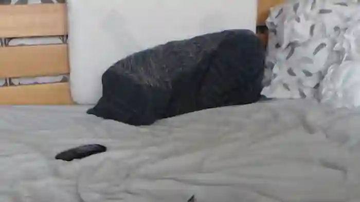 Kelywild