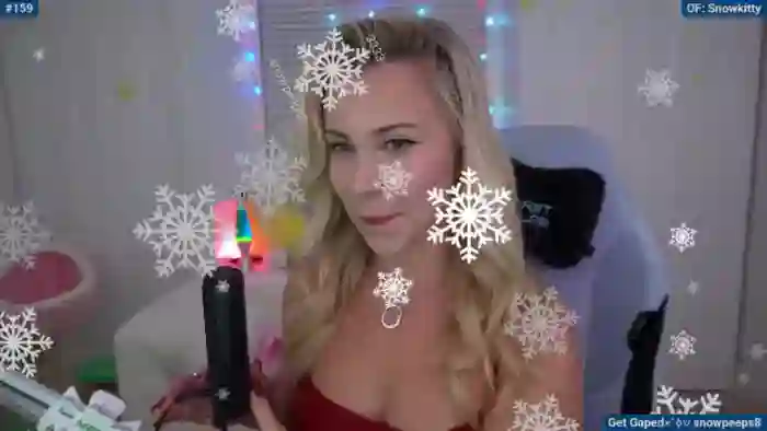 Snowkitty