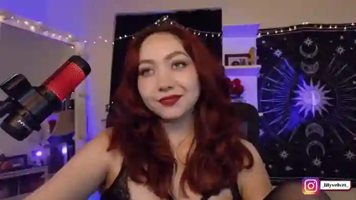 LilyVelvet