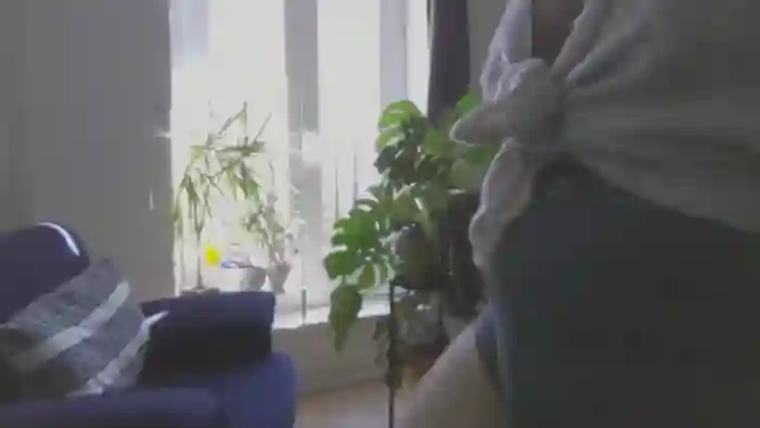 HairySafaeri