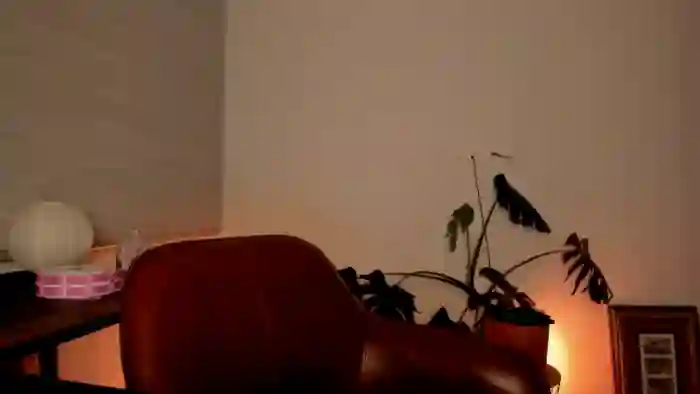 Lindsoft