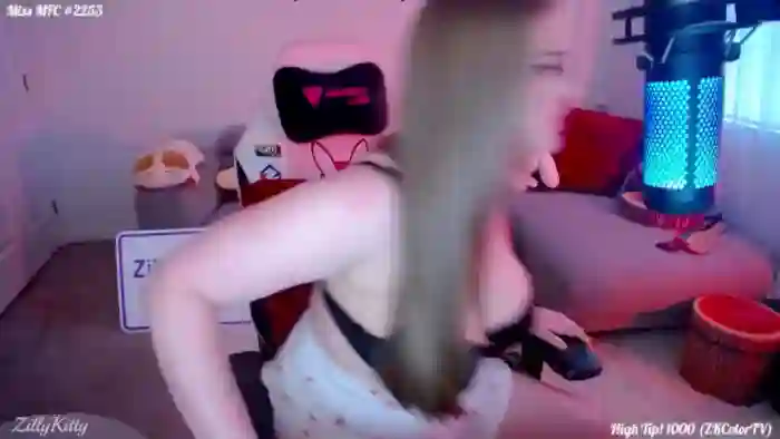 ZillyKitty