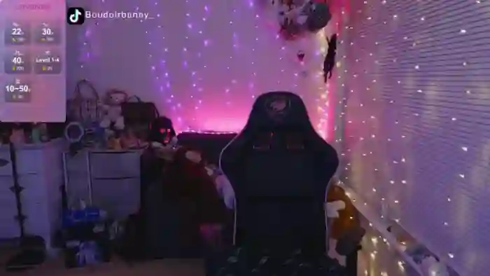 boudoirbunny