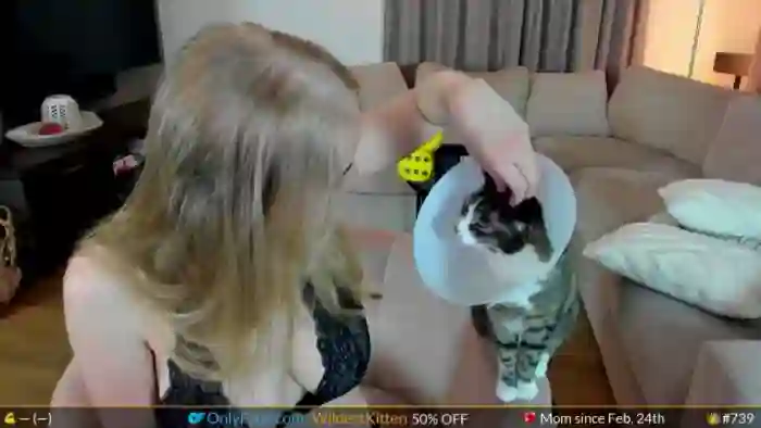 WildestKitten